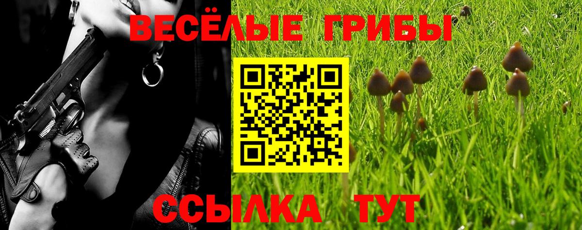 Клинцы  Псилоцибиновые грибы Cubensis  Псилоцибиновые грибы Magic Shrooms  закладка  Вход с VPN 
